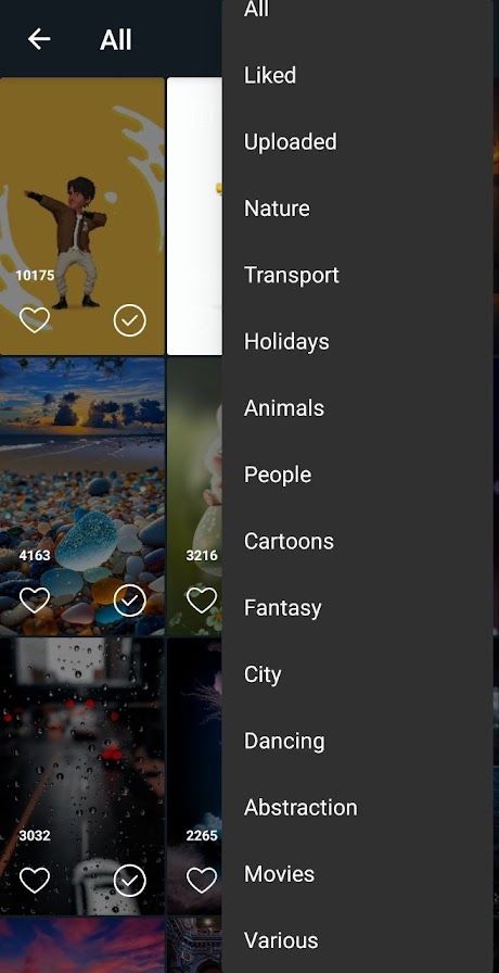 Catalogue of video backdrops sorted into categories